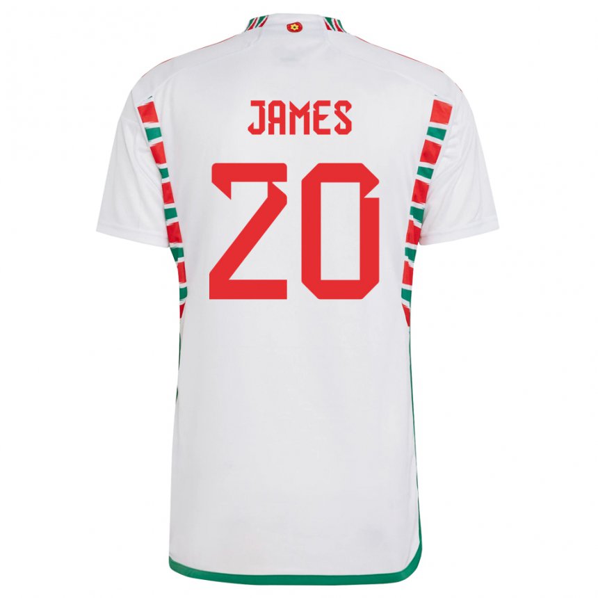 Niño Camiseta Gales Daniel James #20 Blanco 2ª Equipación 22-24 La Camisa Argentina