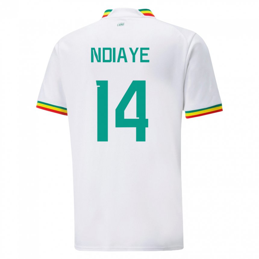 Niño Camiseta Senegal Salimata Ndiaye #14 Blanco 1ª Equipación 22-24 La Camisa Argentina