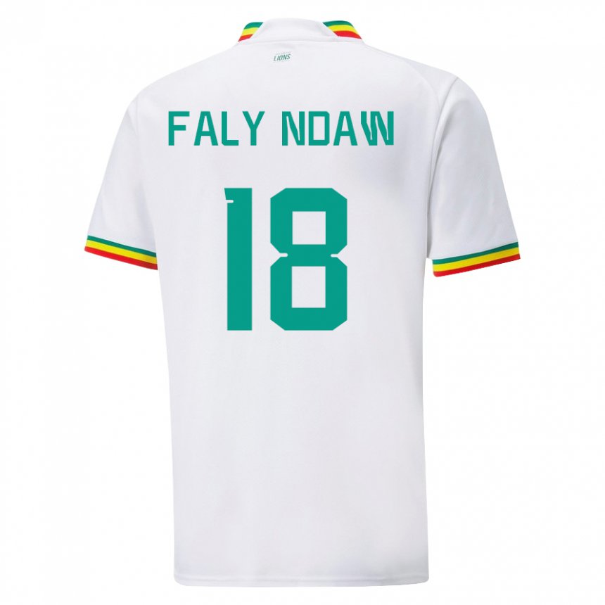 Niño Camiseta Senegal Faly Ndaw #18 Blanco 1ª Equipación 22-24 La Camisa Argentina