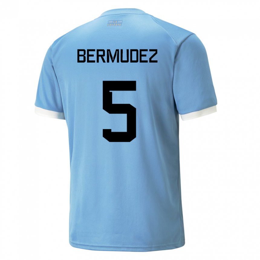 Niño Camiseta Uruguay Karol Bermudez #5 Azul 1ª Equipación 22-24 La Camisa Argentina