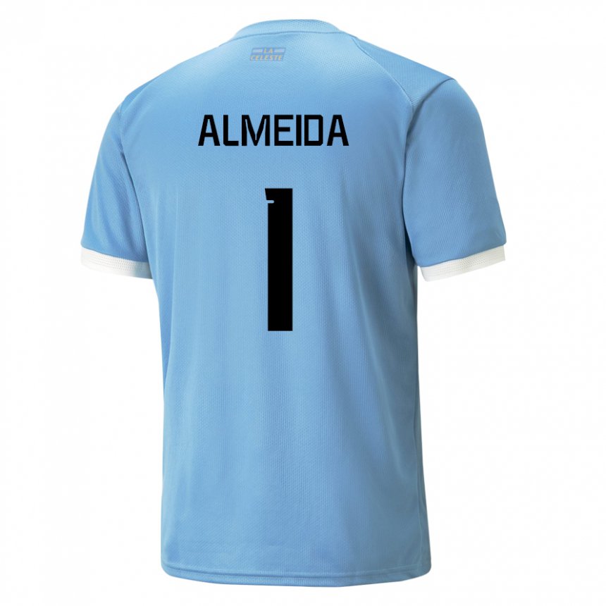 Niño Camiseta Uruguay Martin Almeida #1 Azul 1ª Equipación 22-24 La Camisa Argentina