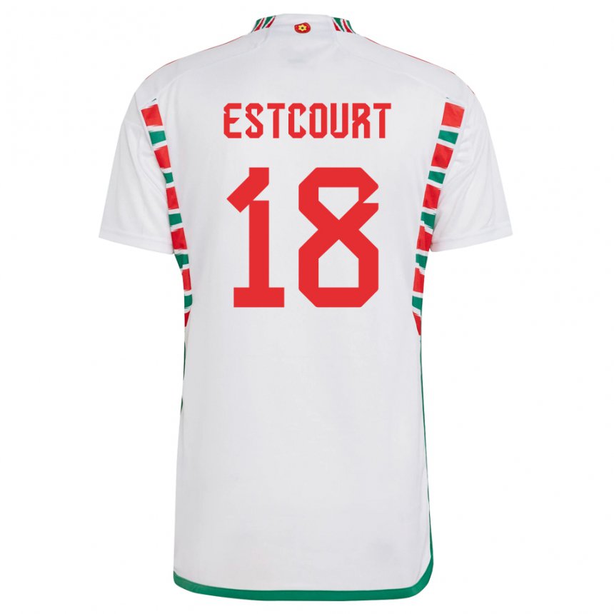 Hombre Camiseta Gales Charlie Estcourt #18 Blanco 2ª Equipación 22-24 La Camisa Argentina