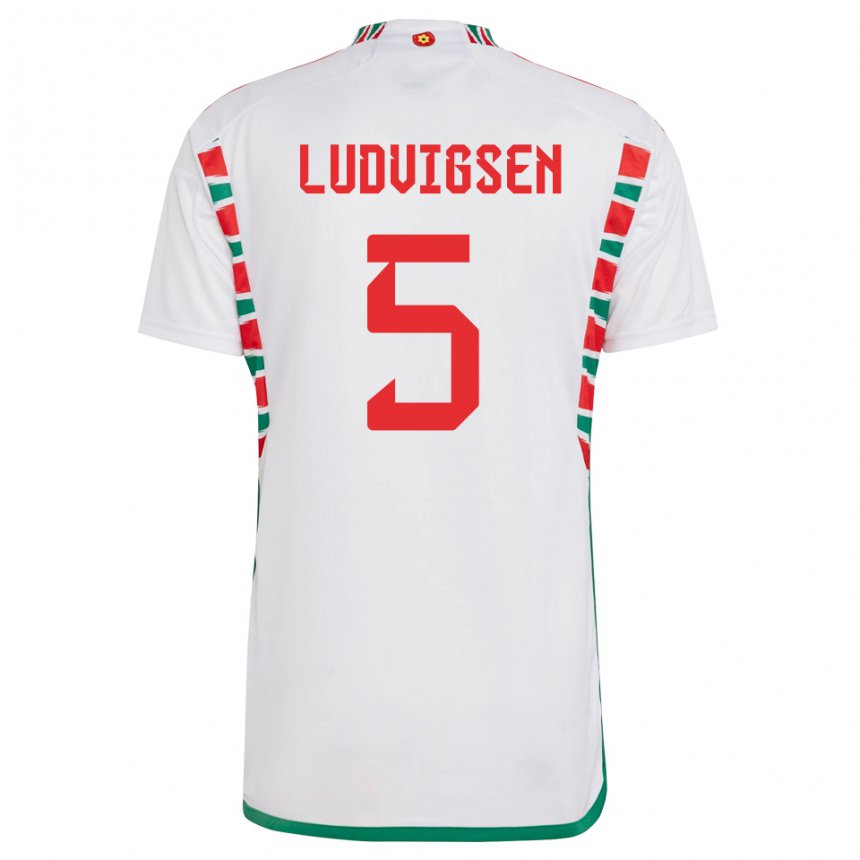 Hombre Camiseta Gales Kai Ludvigsen #5 Blanco 2ª Equipación 22-24 La Camisa Argentina