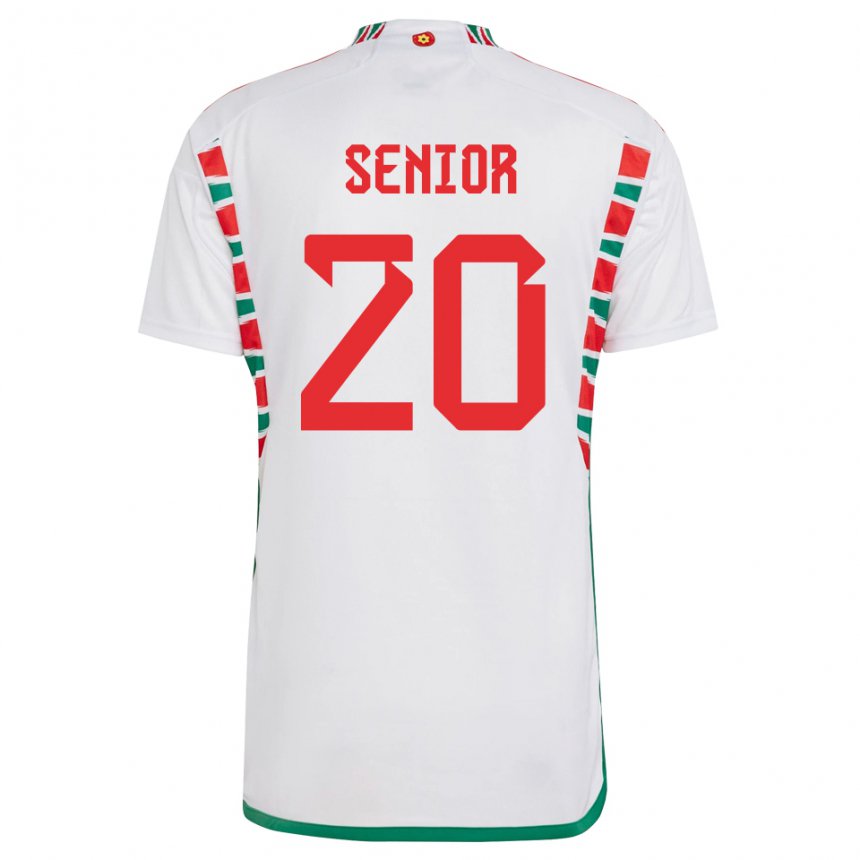 Hombre Camiseta Gales Matt Senior #20 Blanco 2ª Equipación 22-24 La Camisa Argentina