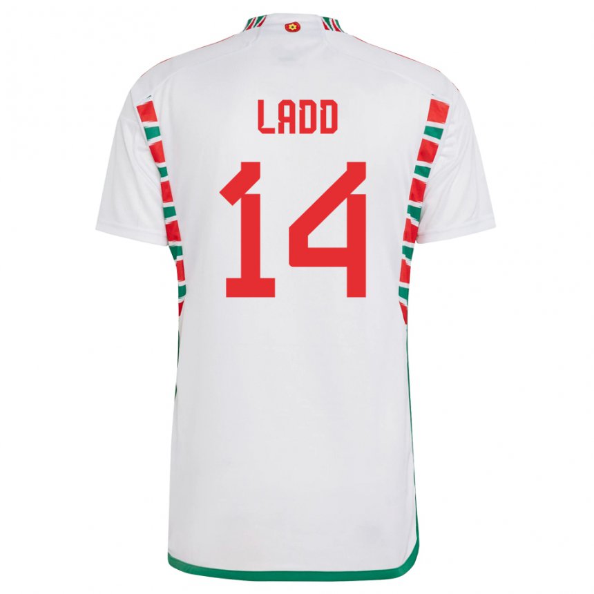 Mujer Camiseta Gales Hayley Ladd #14 Blanco 2ª Equipación 22-24 La Camisa Argentina