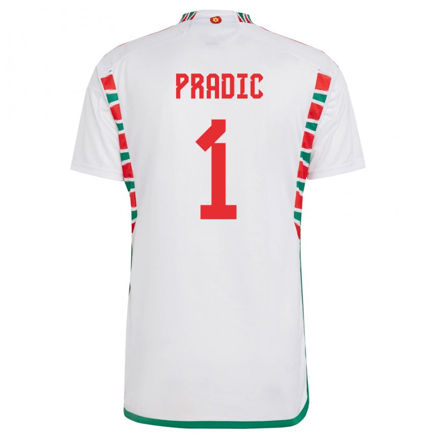 Mujer Camiseta Gales James Pradic #1 Blanco 2ª Equipación 22-24 La Camisa Argentina