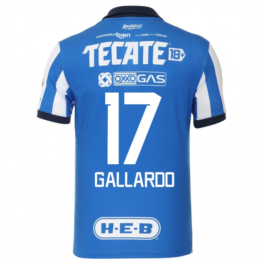 Hombre Camiseta Jesus Gallardo #17 Azul Blanco 1ª Equipación 2023/24 La Camisa Argentina