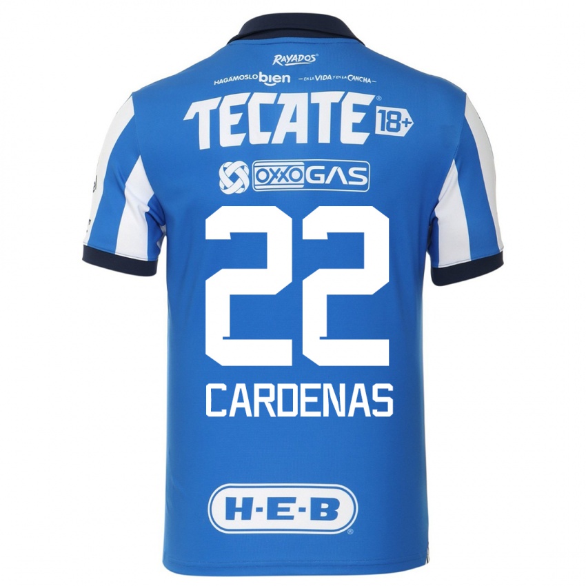 Hombre Camiseta Luis Cardenas #22 Azul Blanco 1ª Equipación 2023/24 La Camisa Argentina