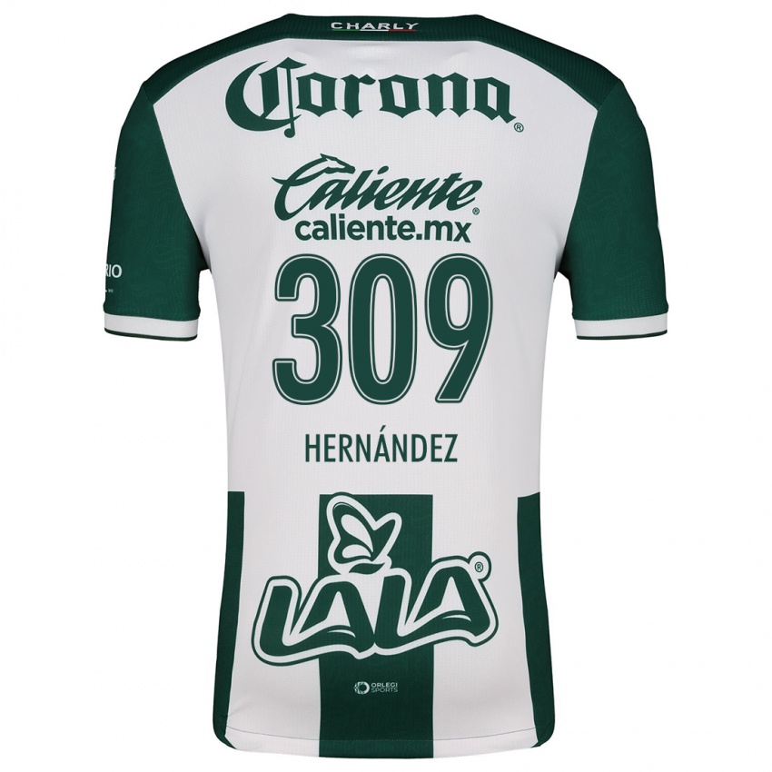 Niño Camiseta Julio Hernández #309 Verde Blanco 1ª Equipación 2024/25 La Camisa Argentina