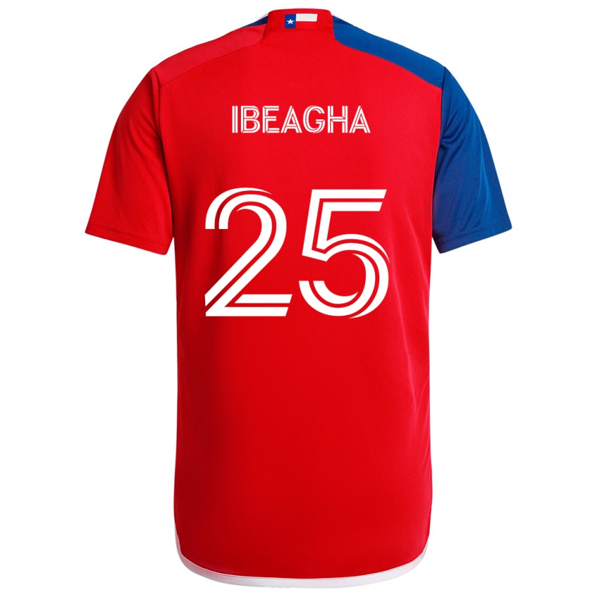 Hombre Camiseta Sebastien Ibeagha #25 Azul Rojo 1ª Equipación 2024/25 La Camisa Argentina