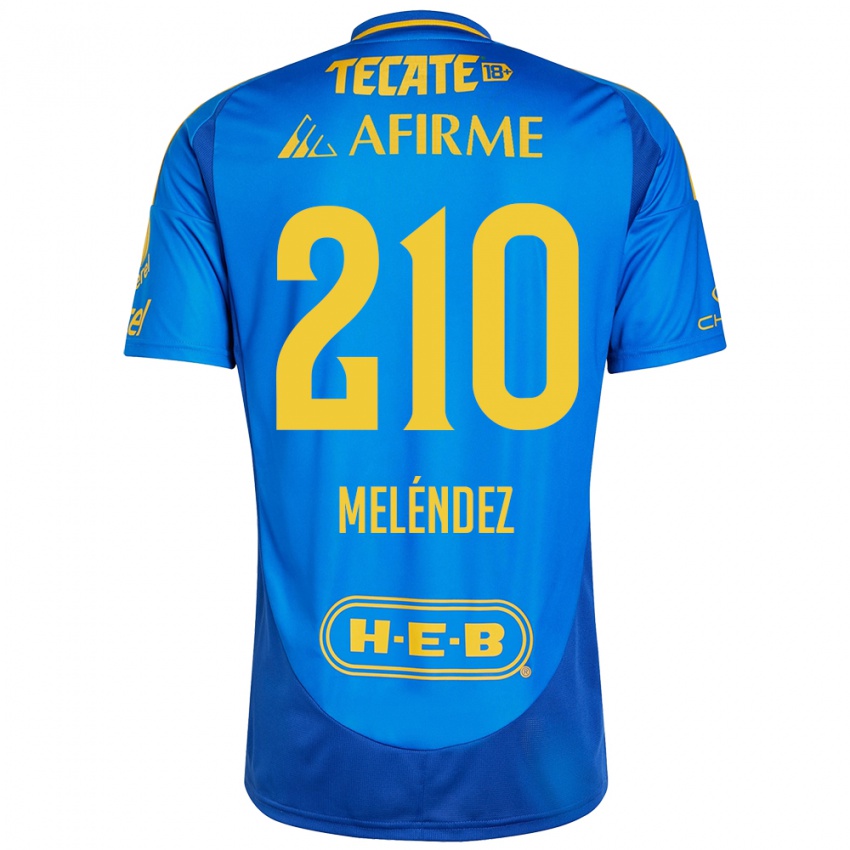 Niño Camiseta Marcelo Meléndez #210 Azul Amarillo 2ª Equipación 2024/25 La Camisa Argentina