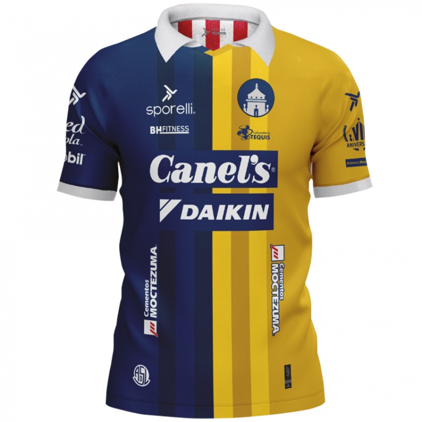 Niño Camiseta Su Nombre #0 Azul Amarillo 2ª Equipación 2024/25 La Camisa Argentina