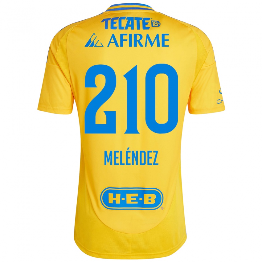 Hombre Camiseta Marcelo Meléndez #210 Oro Amarillo 1ª Equipación 2024/25 La Camisa Argentina