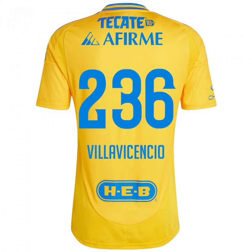 Hombre Camiseta Edgar Villavicencio #236 Oro Amarillo 1ª Equipación 2024/25 La Camisa Argentina