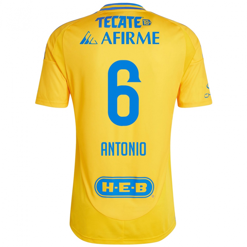 Hombre Camiseta Nancy Antonio #6 Oro Amarillo 1ª Equipación 2024/25 La Camisa Argentina