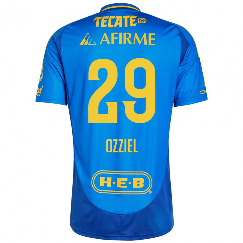 Hombre Camiseta Ozziel Herrera #29 Azul Amarillo 2ª Equipación 2024/25 La Camisa Argentina