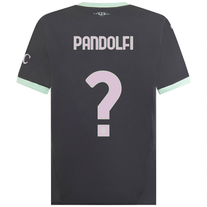 Niño Camiseta Fabio Pandolfi #0 Gris Equipación Tercera 2024/25 La Camisa Argentina