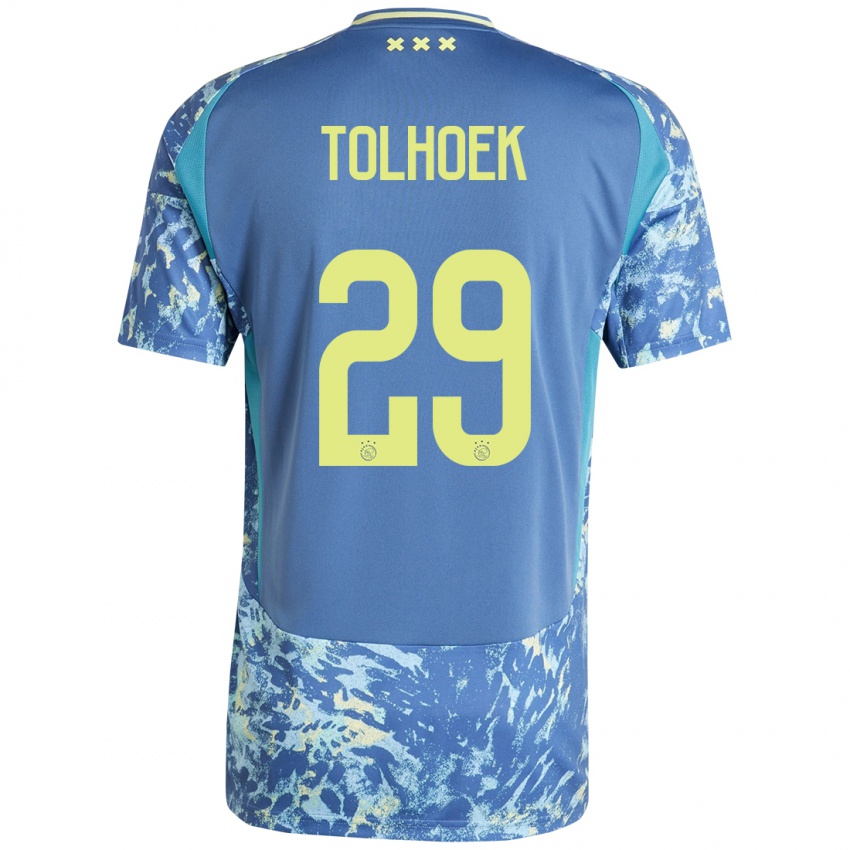 Niño Camiseta Danique Tolhoek #29 Gris Azul Amarillo 2ª Equipación 2024/25 La Camisa Argentina