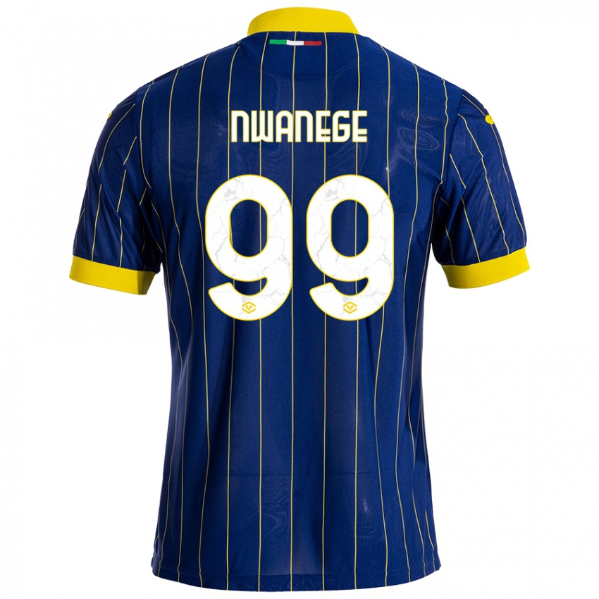 Niño Camiseta Karlson Nwanege #99 Azul Amarillo 1ª Equipación 2024/25 La Camisa Argentina