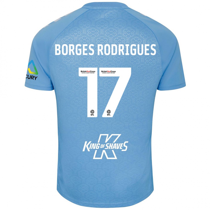 Niño Camiseta Raphael Borges Rodrigues #17 Azul Blanco 1ª Equipación 2024/25 La Camisa Argentina