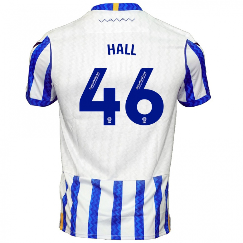 Niño Camiseta Jack Hall #46 Azul Blanco 1ª Equipación 2024/25 La Camisa Argentina