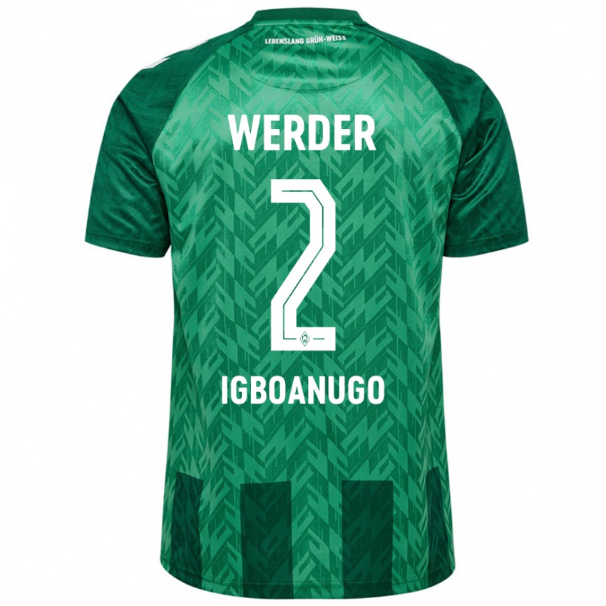 Niño Camiseta David Igboanugo #2 Verde 1ª Equipación 2024/25 La Camisa Argentina