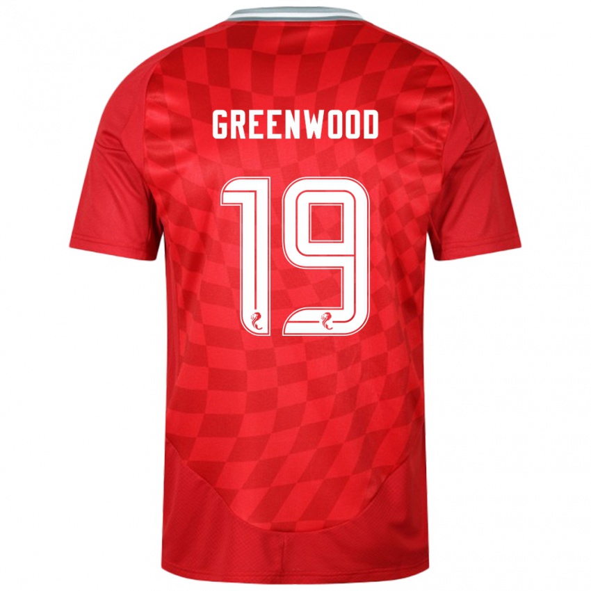 Hombre Camiseta Brodie Greenwood #19 Rojo 1ª Equipación 2024/25 La Camisa Argentina